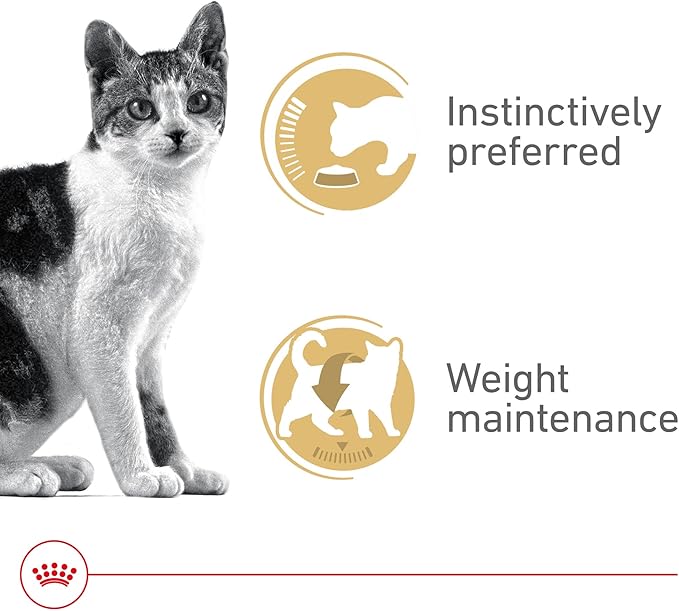 Royal Canin Adult Instinctive Thin Slices in Gravy Wet Cat Food, 3 oz can (12-count)