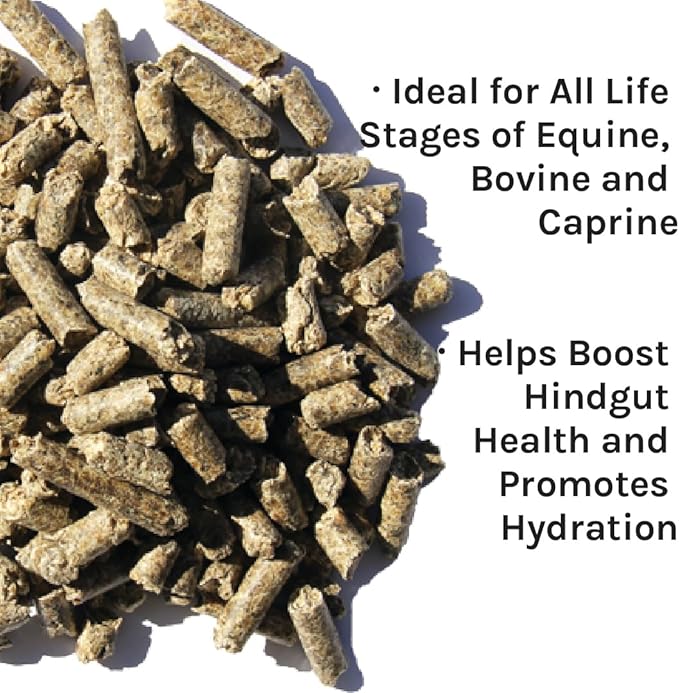New Country Organics | Beet Pellets | Beet Pulp for Horses | Higher Fibre and Non-GMO | 40 lbs