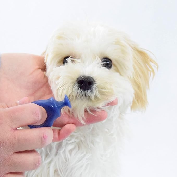 Pet Toothbrushing Assistant for Puppies' Dogs and Cats Allows You to Brush Your pet’s Teeth Without Constantly Worrying About Getting Bitten. (Blue, Small)