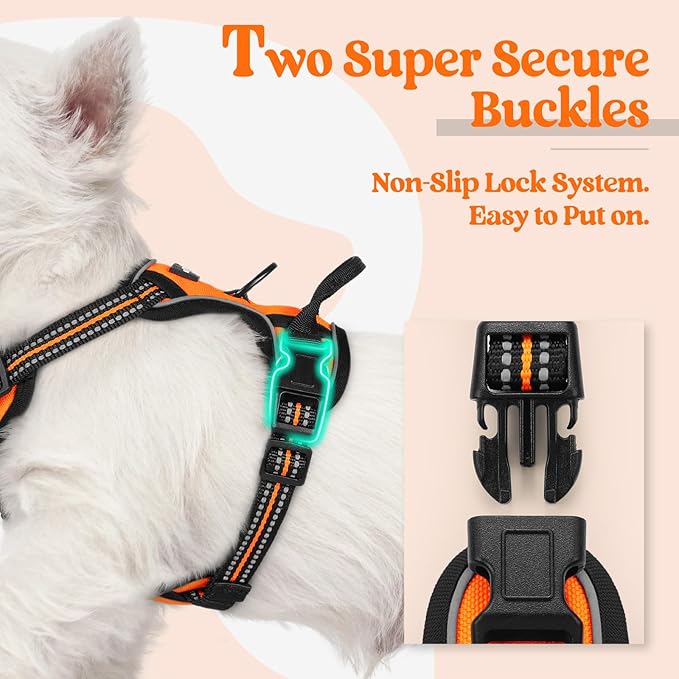 rabbitgoo Dog Harness No Pull with 2 Leash Clips, Adjustable Soft Padded, Reflective Oxford No Choke Pet Vest with Easy Control Handle for Puppy, Orange,XS