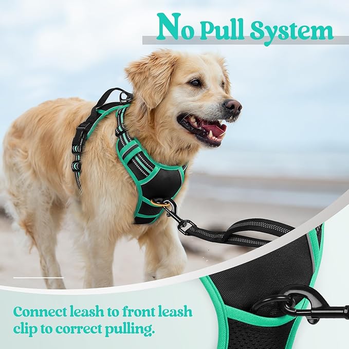 rabbitgoo Dog Harness No Pull with 2 Leash Clips, Adjustable Soft Padded, Reflective Oxford No Choke Pet Vest with Easy Control Handle for Medium Sized Dogs, Black & Turquoise, M