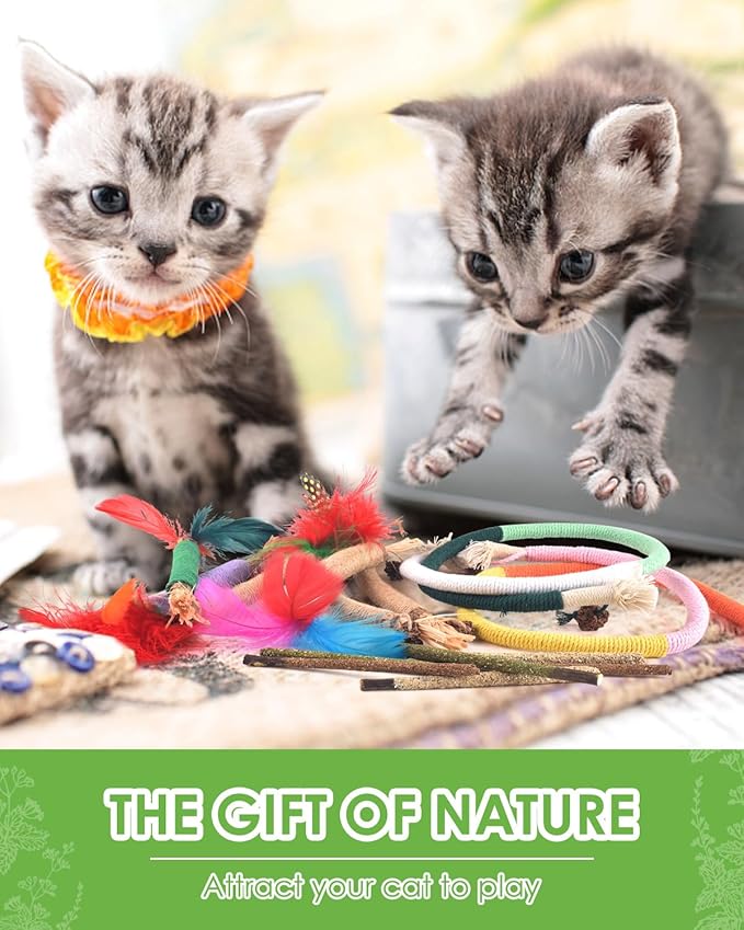 TINDTOP Cat Chew Toys, 12 Pack Silvervine Chew Sticks with 2 Pack Chew Ropes for Kittens Teeth Cleaning, Increase Appetite, Aggressive Chewers Cat Dental Toy