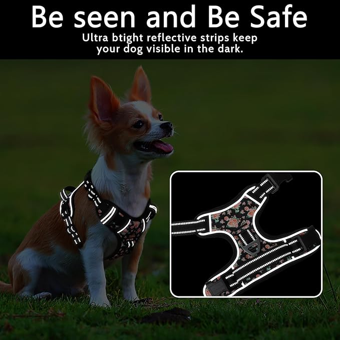 Timos Dog Harness, No-Pull Pet Harness with 2 Leash Clips, Adjustable Soft Padded Dog Vest, Reflective Outdoor Pet Oxford Vest with Easy Control Handle