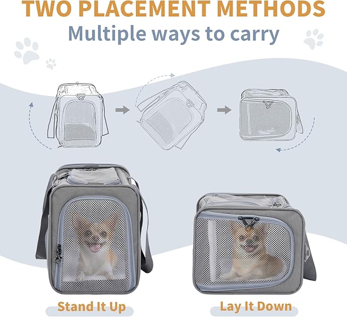 ‌Petsfit Airline Approved Pet Carrier for Small Dogs & Cats, 19x9x12 TSA Approved Carrier, with Removable Dual-Sided Padding (2-Way Placement) - Fits Under Most Airplane Seats, Escape Proof (Gray)