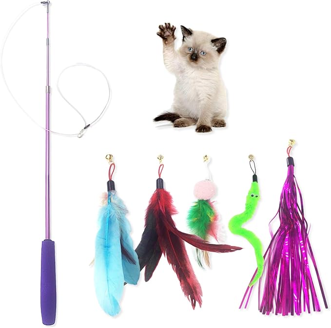 Cat Toy Wand, Interactive Feather Teaser Cat Toys Set, Retractable Cat Fishing Rod with 5pcs Refills (Purple)