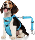 Dog Seat Belt Harness for Car, Dog Car Harness Adjustable Mesh Breathable & Dogs Seatbelt Safety Tether with Elastic Bungee for Small Medium Large Pets(Blue, M)