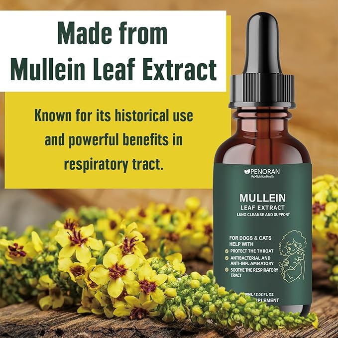 Pet Mullein Leaf Extract Drops for Dogs & Cats Hoarseness, Cough, Easy Breathing, Lung Cleanse and Support, Better Lungs, Soothes Throat Discomfort - ﻿100% Natural and Efficient ﻿ ﻿