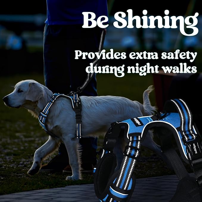 rabbitgoo Dog Harness for Large, No Pull Pet Harness with 3 Buckles, Adjustable Soft Padded Vest with Control Handle, Walking Reflective Pet Vest for Extra Large Dogs, Sky Blue, XL