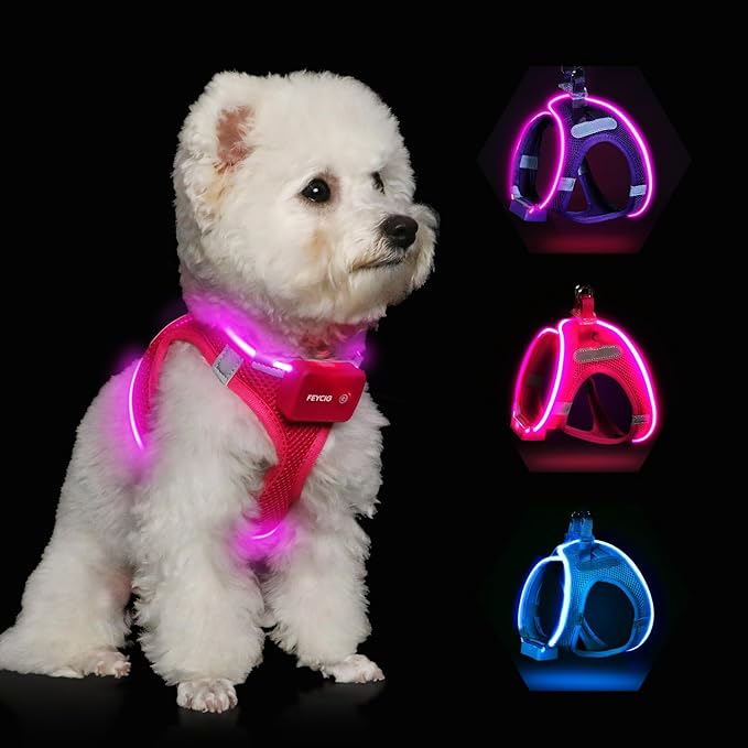 Light Up Dog Harness,Rechargeable LED Dog Harness for Small Medium Large Dogs,Reflective Lighted Safety Vest for Night Walking & Camping,Lightweight & Adjustable,Pink,XS