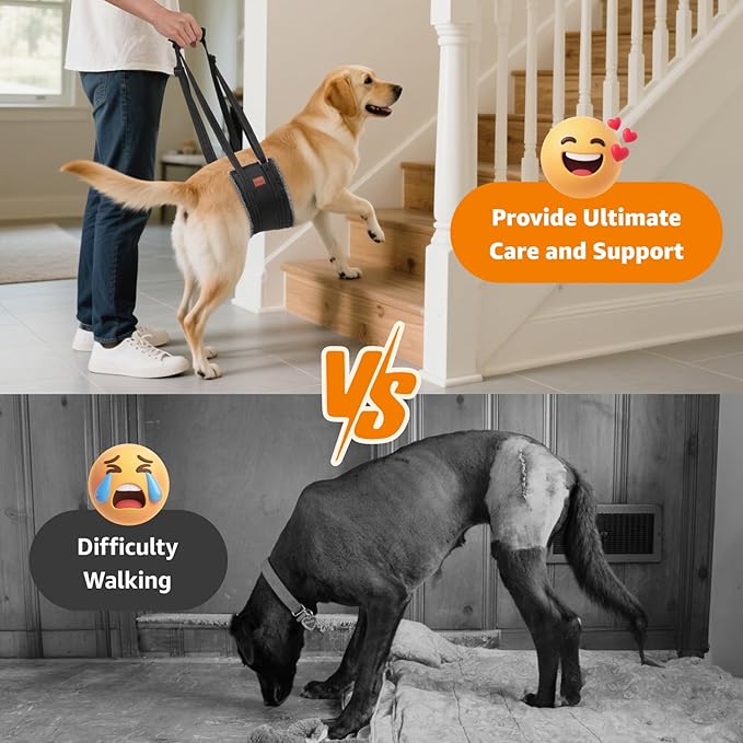 LOOBANI Portable Dog Sling for Back Legs, Hip Support Harness to Help Lift Dogs Rear for Canine Aid and Old K9 Cruciate Ligament Rehabilitation