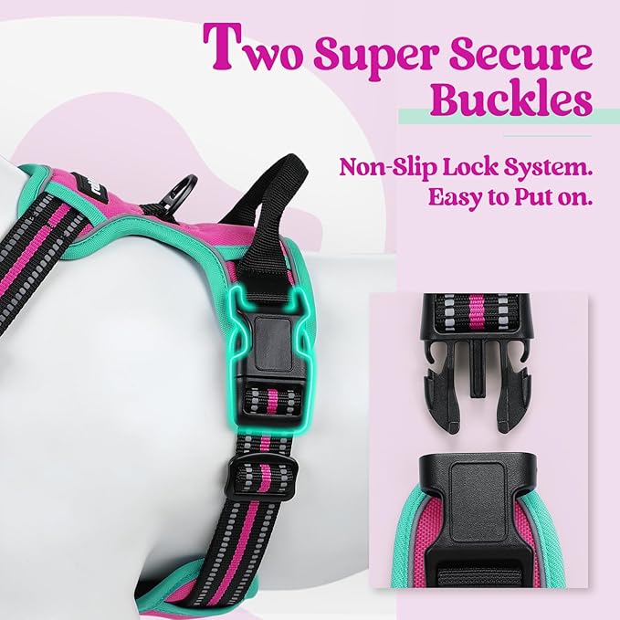 rabbitgoo Dog Harness No Pull with 2 Leash Clips, Adjustable Soft Padded, Reflective Oxford No Choke Pet Vest with Easy Control Handle for Large Dogs, Hot Pink & Turquoise, XL