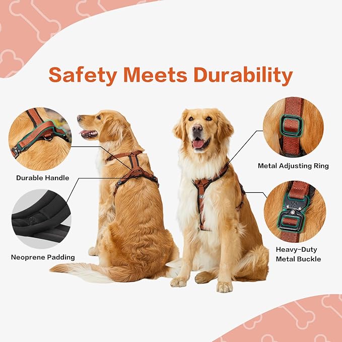 CLEPAWS Dog Harness for Small Dogs, No Pull Dog Harness Easy Walk with Metal Hardware, Ergonomic Y-Shaped Design, Soft Padding, Padded Handle, Durable High-Tensile Nylon (Canyon Red, S)