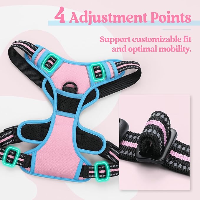 rabbitgoo Dog Harness No Pull with 2 Leash Clips, Adjustable Soft Padded, Reflective Oxford No Choke Pet Vest with Easy Control Handle for Large Dogs, Pink & Blue, XL