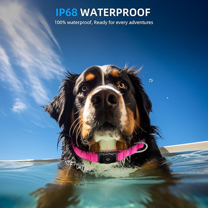 Reflective Air Tag Dog Collar - 100% Waterproof Dog Collar AirTag Holder | Extra-Durable, Soft Padded AirTag Dog Collars for Small Medium Large Dogs