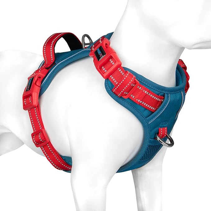 PHOEPET No Pull Dog Harness, Unique Colors Reflective Adjustable Dog Vest, with Soft Training Handle Metal Clips for Small Medium Large Dogs (Teal Base & Red Straps,M)