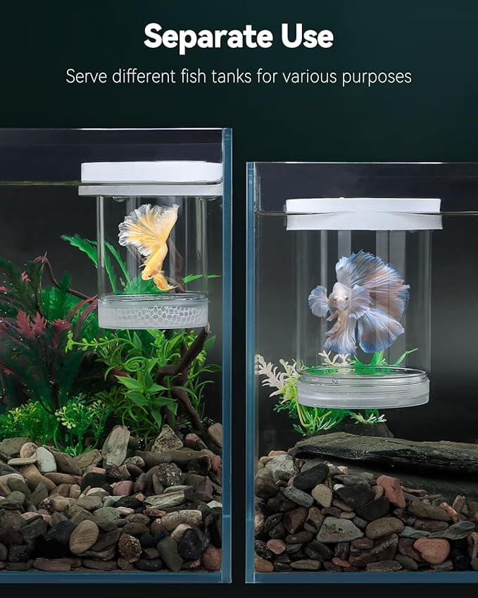 Pawfly Breeder Box for Fish Tank, Aquarium Fish Breeding Box, Floating Guppy Breeder Box, Baby Fish Separator for Aquarium, Plastic Hatchery Incubator Isolation Box for Shrimp Betta Clownfish, Medium