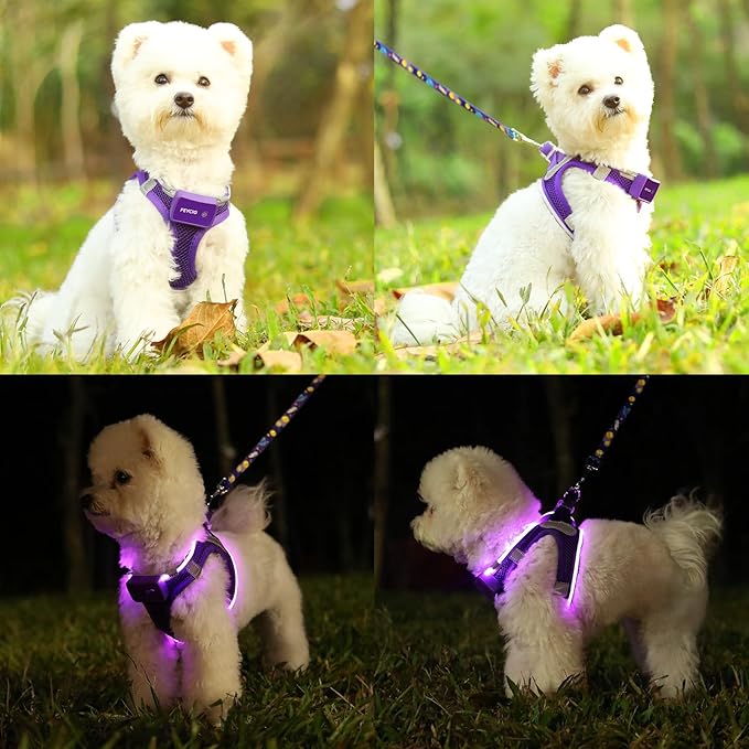 Light Up Dog Harness,Rechargeable LED Dog Harness for Small Medium Large Dogs,Reflective Lighted Safety Vest for Night Walking & Camping,Lightweight & Adjustable,Purple,XS