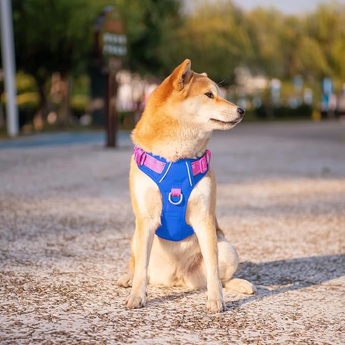PHOEPET No Pull Dog Harness, Unique Colors Reflective Adjustable Dog Vest, with Soft Training Handle Metal Clips for Small Medium Large Dogs (Royal Blue Base & Pink Straps,XL)