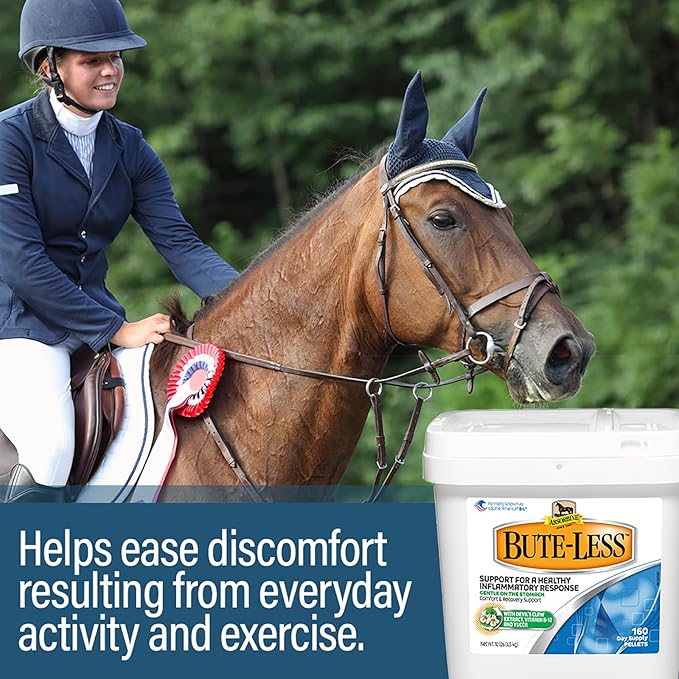 Absorbine Bute-Less Comfort & Recovery Support Supplement, Provides Long-Term Comfort, Gentle on Stomach, Includes Devil’s Claw, Vitamin B-12, Yucca, 10 lb / 160 Day Supply