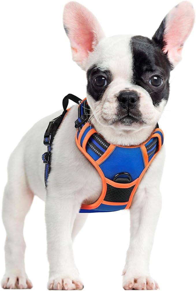 rabbitgoo Dog Harness No Pull with 2 Leash Clips, Adjustable Soft Padded, Reflective Oxford No Choke Pet Vest with Easy Control Handle for Small Dogs, Blue & Orange, S