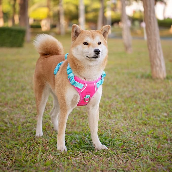 PHOEPET No Pull Dog Harness, Unique Colors Reflective Adjustable Dog Vest, with Soft Training Handle Metal Clips for Small Medium Large Dogs (Pink Base & Green Straps,XS)