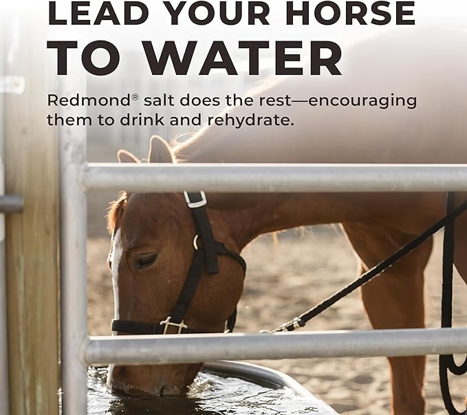 Daily Red Crushed Loose Minerals | Mineral Salt + Electrolyte Supplement for Horses (25LB Refill Bag)