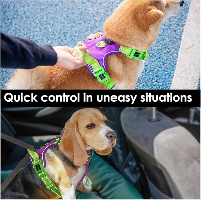 PHOEPET No Pull Dog Harness, Unique Colors Reflective Adjustable Dog Vest, with Soft Training Handle Metal Clips for Small Medium Large Dogs (Purple Base & Green Straps,L)