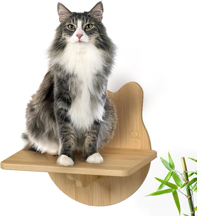 Wall-Mounted Cat Furniture for Climbing - Indoor Wooden Floating Shelves, Perches, Hammock, Bed, Bridges, Walkways - Different Models