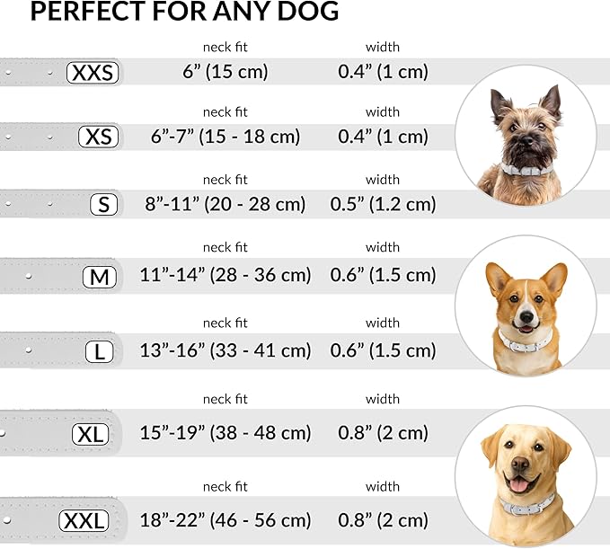 CollarDirect Rolled Leather Dog Collar, Soft Padded Round Puppy Collar, Handmade Genuine Leather Collar Dog Small Large Cat Collars 13 Colors (6 Inch, White Smooth)