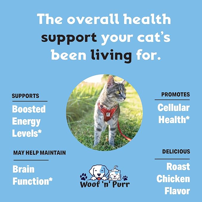 Cat Multivitamin - Promotes Healthy Skin & Coat, Joint Support, Longevity & More - Cat Vitamins - Cat Supplements & Vitamins - Cat Vitamins for Indoor Cats - Kitten Vitamins - Cat Immune Support - 1oz