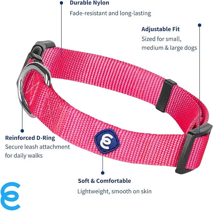 Blueberry Pet Essentials Medium Dog Collar in French Pink | Adjustable & Eco-Friendly Durable Nylon Strap | Classic Collar for Medium Dogs, Boy & Girl Pets