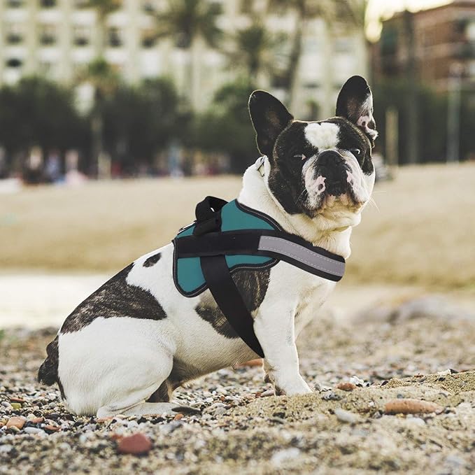 Bolux Dog Harness, No-Pull Reflective Dog Vest, Breathable Adjustable Pet Harness with Handle for Outdoor Walking - No More Pulling, Tugging or Choking (Turquoise, M)