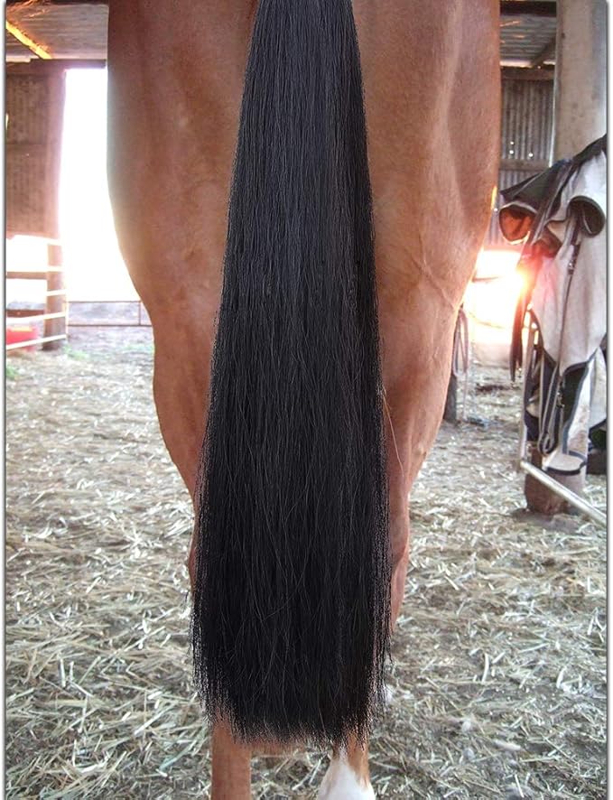 Horse Tail Extensions with Braided Horsehair Loop, Blunt Cut Bottom, 34-36 inches long and 1 lb Weight (Jet Black)