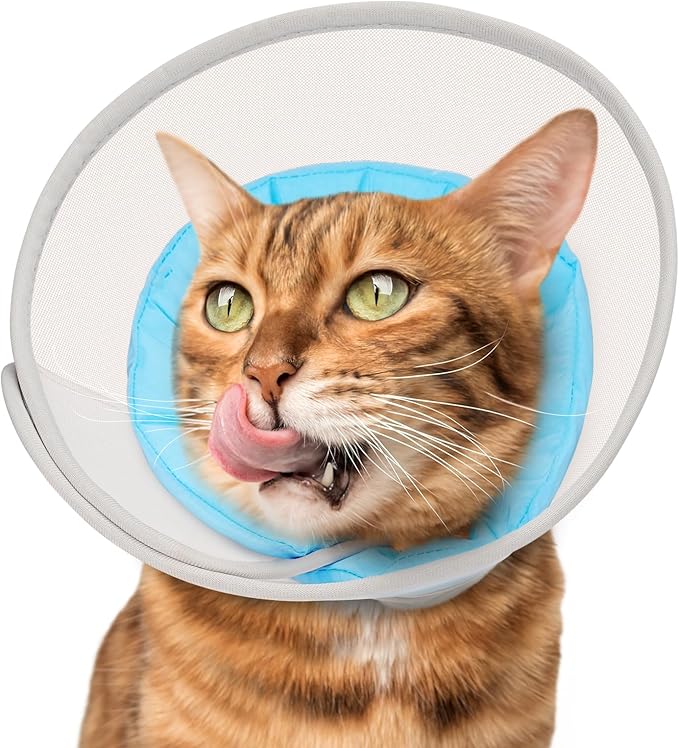 Cat Cone Collar Soft: Comfortable Waterproof Mesh Recovery Cone After Surgery to Stop Licking and Scratch, Alternative to Plastic Elizabeth Head/Neck Cone for Large Cats and Small Dogs