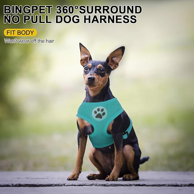 BINGPET No Pull Dog Harness,All Weather Mesh Step-in Vest Harness for Small Dogs,Breathable Mesh Puppy & Cat Harness