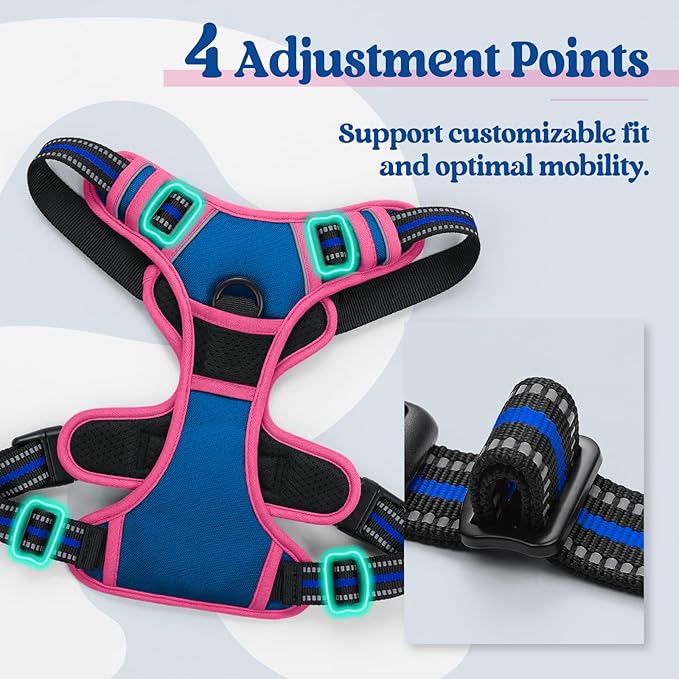 rabbitgoo Dog Harness No Pull with 2 Leash Clips, Adjustable Soft Padded, Reflective Oxford No Choke Pet Vest with Easy Control Handle for Large Dogs, Blue & Hot Pink, XL