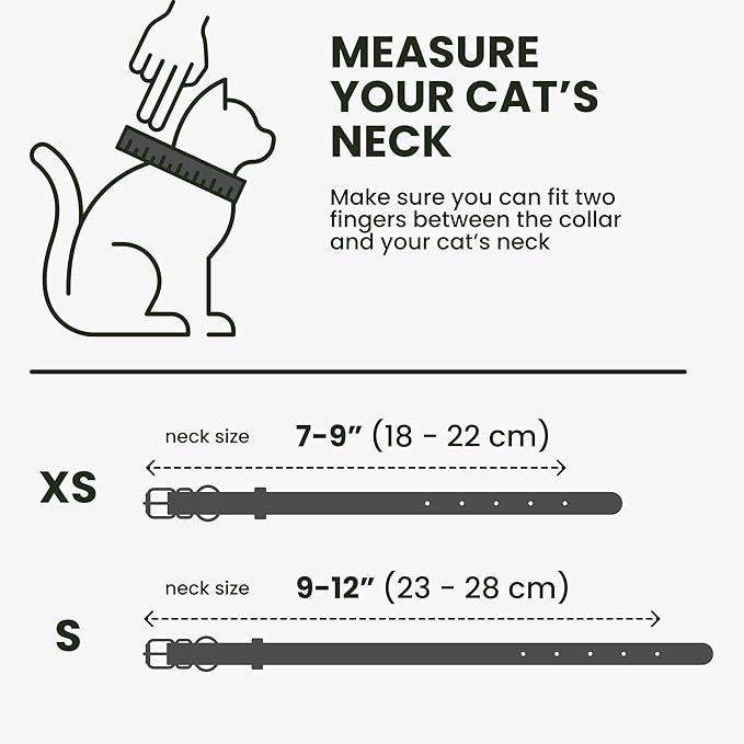 BRONZEDOG Leather Cat Collar with Removable Bells Non Breakaway Kitten QR Tag for Girl Boy (7" - 9" for Cats, Black & Silver)