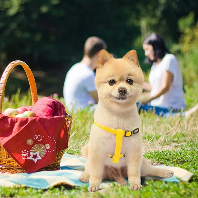 PUPTECK No Pull Dog Harness Soft Adjustable Basic Nylon Step in Puppy Vest Outdoor Walking with ID Tag, Yellow, S