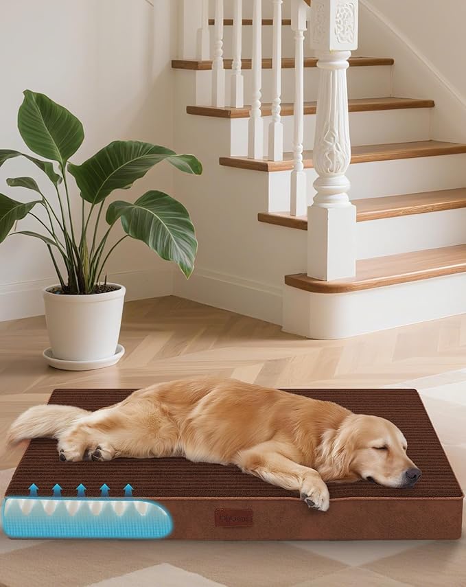 OhGeni Orthopedic Waterproof & Machine Washable Dog Bed for Medium Large Pets, Suitable for Crates, Cat Mat with 25D Egg Crate Foam, Non-Slip Bottom & Removable Cover, 35 Inches(Brown)