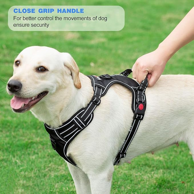 No Pull Dog Harness Adjustable Reflective Oxford Easy Control Medium Large Dog Harness with A Free Heavy Duty 5ft Dog Leash (M (Neck: 14.5"-20.5", Chest: 22"-28"), Red Harness+Leash)