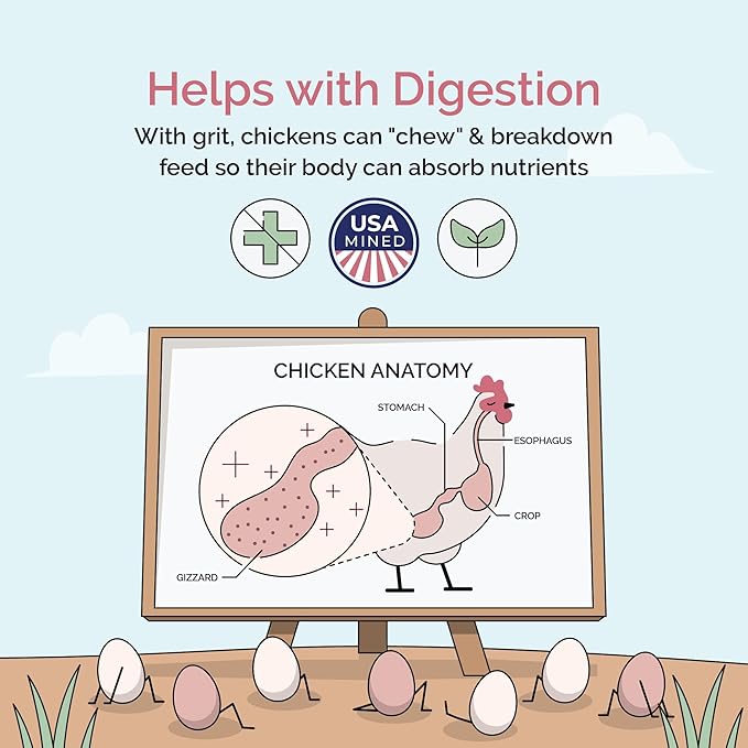 Chicken Grit for Layer & Grower Chickens Age 8-20+ Weeks - 100% Natural Mineral Chicken Grit Quartzite, Poultry Grit, USA Mined, 4 lbs