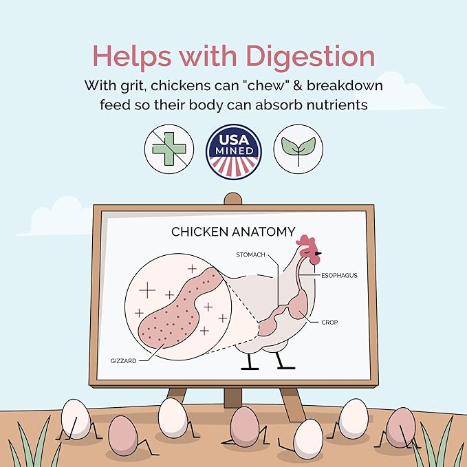 Chicken Grit for Layer & Grower Chickens Age 8-20+ Weeks - 100% Natural Mineral Chicken Grit Quartzite, Poultry Grit, USA Mined, 50 lbs