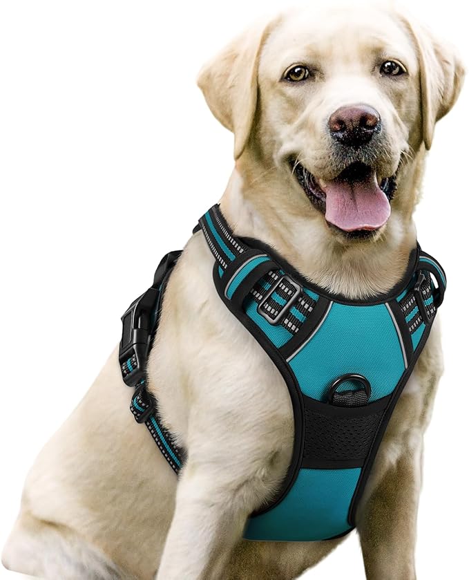rabbitgoo Dog Harness No Pull with 2 Leash Clips, Adjustable Soft Padded, Reflective Oxford No Choke Pet Vest with Easy Control Handle for Large Dogs, Teal, L