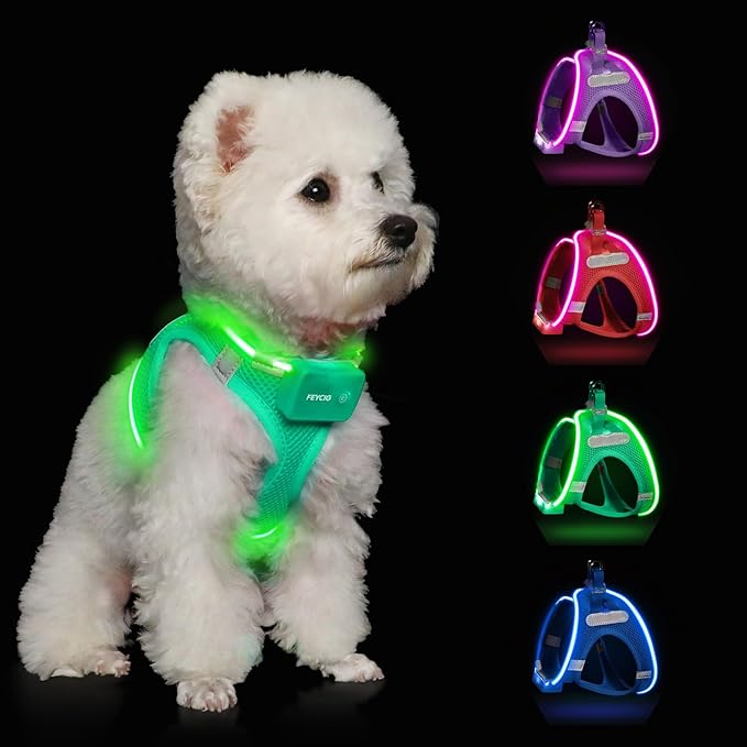 Light Up Dog Harness,Rechargeable LED Dog Harness for Small Medium Large Dogs,Reflective Lighted Safety Vest for Night Walking & Camping,Lightweight & Adjustable,Light Green,S