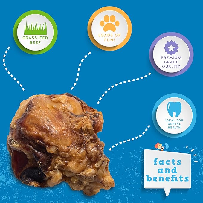 Jack&Pup Beef Bones, Knee Cap for Dogs, Long Lasting Natural Dog Bones, Beef Bone Knee Caps for Large Dogs. (2 Pack)