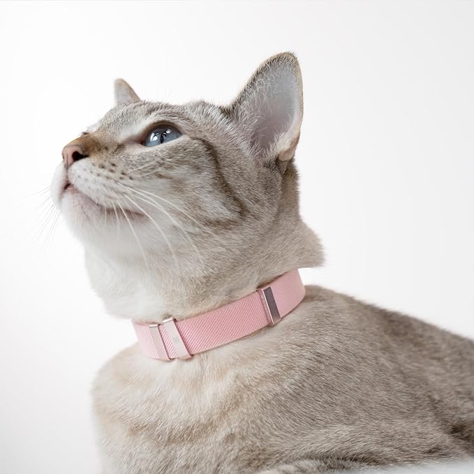 Safety Cat Collar - U.S. IDA Gold Awarding Design, Stretch Elastic Quick Release, Non Breakaway - Light Weight for Kitten, Neck Fit 7.8'-15.7' for All Small Large Cat,M(Sierra Blue)