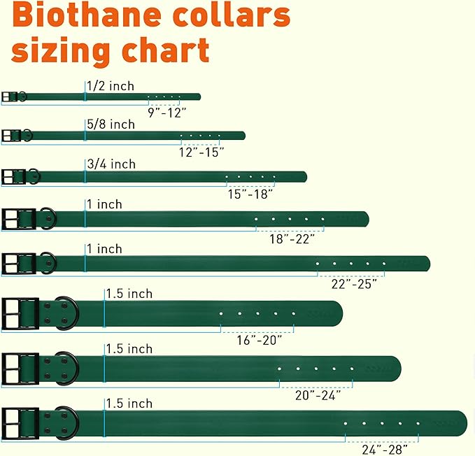 Dogline Biothane Waterproof Dog Collar Strong Coated Nylon Webbing with Black Hardware Odor- Proof for Easy Care Easy to Clean High Performance Fits Small Medium or Large Dogs, Hunter Green