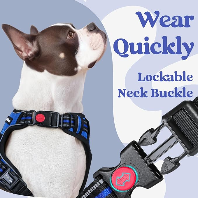rabbitgoo Dog Harness Small Sized, No Pull Pet Harness with 3 Buckles, Adjustable Soft Padded Vest with Control Handle, Walking Reflective Pet Vest for Small Dogs, Blue, S