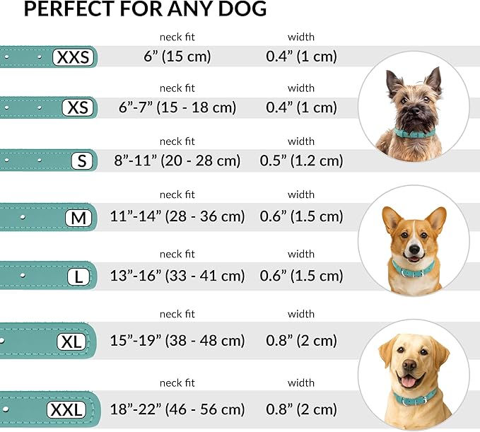 CollarDirect Rolled Leather Dog Collar, Soft Padded Round Puppy Collar, Handmade Genuine Leather Collar Dog Small Large Cat Collars 13 Colors (11-14 Inch, Mint Green Textured)