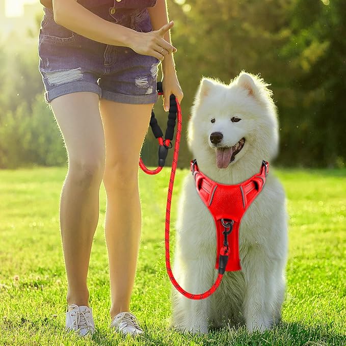 BARKBAY Dog Harness No Pull with ID Tag Pocket - Heavy Duty, Reflective, Easy Control for Large Dogs(Red,S)